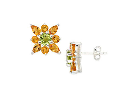 Silver Plated Gemstone Stud Earring